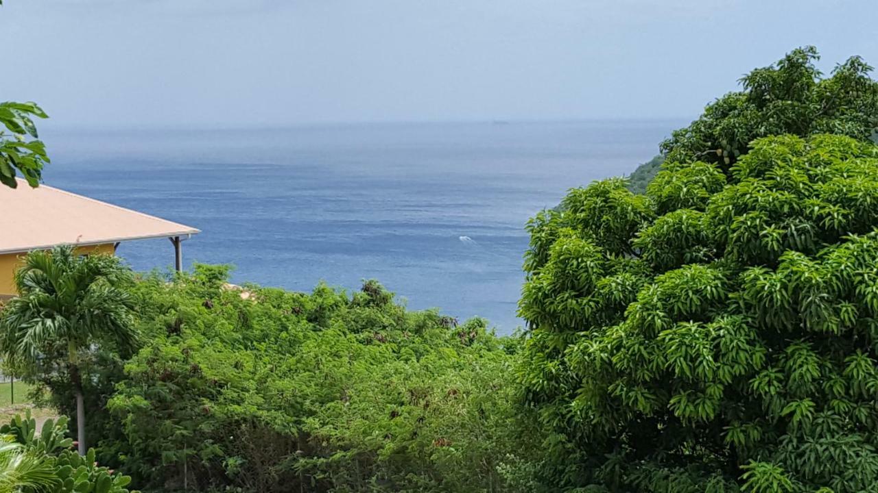 Ferienwohnung La Yole Des Caraibes Les Anses-d'Arlets Exterior foto