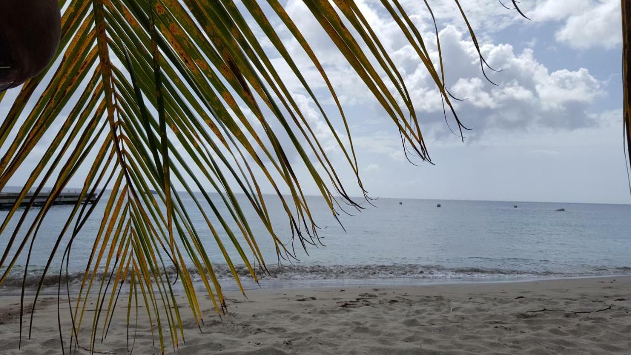 Ferienwohnung La Yole Des Caraibes Les Anses-d'Arlets Exterior foto